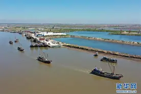 黄渤海开渔图片
