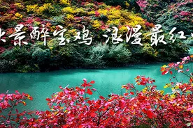 一码通全城！宝鸡这项便捷优惠很给力……图片