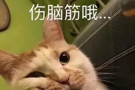 IPTV珠江频道专区正式上线啦！再也不用担心错过精彩节目图片