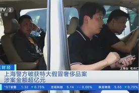 涉案过亿元！假LV包竟能扫出官网链接，还比真品先上市？！警方揭露背后玄机…图片