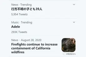 Adele因为一件比基尼被骂上热搜…用别人的文化就是罪过吗？图片