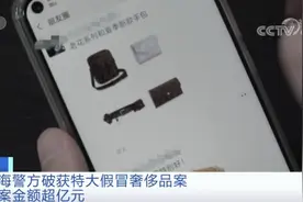 涉案过亿元！假LV包竟能扫出官网链接，还比真品先上市？！警方揭露背后玄机……图片
