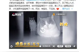 来自喵星的牵挂！猫猫通宵等主人电话图片