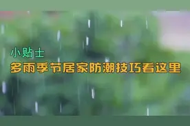 小贴士丨多雨季节居家防潮技巧看这里视频封面