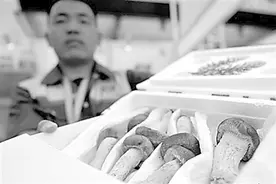 科技助力 产业腾飞图片