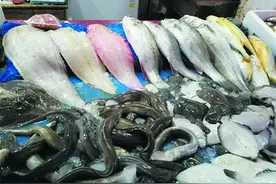 蒸煎拌煮鲜到你流口水图片