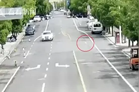 养了7年的泰迪光天化日被偷？主人报警后结局反转了图片