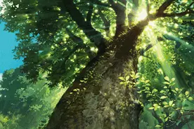 厦门这些百年古榕，一边沧桑，一边讲述光阴的故事图片