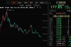 龙头股回调名单来了！千亿芯片龙头股价腰折，市值大跌近900亿，这些回调龙头股业绩亮眼图片