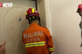 书房飞进蝙蝠 夜晚出来“吓”房主图片