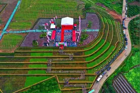 兰溪：一树杨梅融“三产”逐梦“绿富美”图片