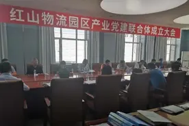 赤峰市红山区打造党建联合体为人才引育创业增添新动能图片