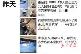 爱犬被盗，玉林一女子悬赏3万元寻找！网友吵翻“一条土狗值3万？”图片