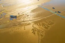 年底东台将迈入与上海的同城时代，坐高铁1小时可达！还将打造长三角生态康养胜地图片