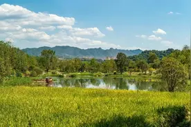 请注意！重庆广阳岛每周一闭岛，摘折花果将被纳入黑名单图片