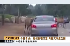 游客给动物喂口罩？北京警方公布调查结果图片