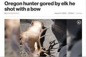 美国俄勒冈州麋鹿“复仇”反杀刺死猎人图片