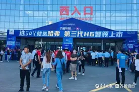 聊城市民早上6点就出发往齐鲁国际车展赶：听说优惠大图片