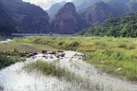 “天津后花园”崛起两大国家湿地公园图片
