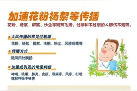 大风天有“风险”也有乐趣图片