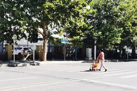 追踪丨郑州英才街几个路口的红绿灯是否已恢复正常？图片