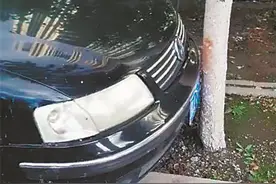 网友：神级停车 交警：炫技别违法图片