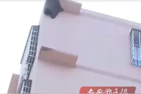猛男！楼外惊现巨型马蜂窝，业主拒绝消防：我要抓起来泡酒图片