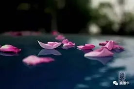 无论你是谁，终将一无所有图片