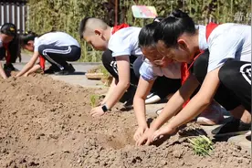 西安：开学第一课 劳作中体验“粒粒皆辛苦”视频封面