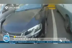 自家的狗，死在他家的后备箱！双方争执不下，真相让人意外图片