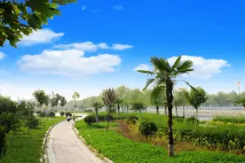 济宁市鱼台县：​城市公园让百姓乐享幸福生活图片