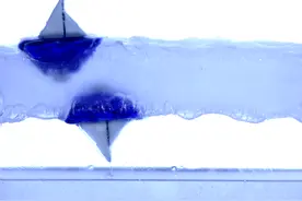 反重力+反浮力实验！法国科学家使液体悬空，小船漂在下表面图片