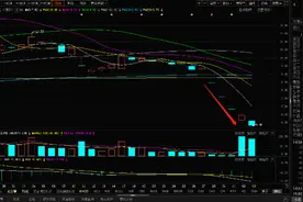这只股票爆巨亏，5天4跌停蒸发30亿，7万股东亏惨了图片