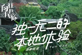 这位瑞士科学家的傣式民宿火了 坐拥西双版纳万平雨林 与动植物为邻图片