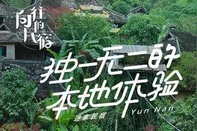 这位瑞士科学家的傣式民宿火了 坐拥西双版纳万平雨林 与动植物为邻图片