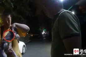 哈士奇咬哈士奇，被咬的负主责，只因它的主人没做这些事图片