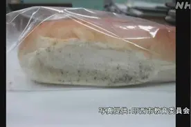 日本中学午餐面包出现“霉菌”近600个“发霉包”供给8所学校图片