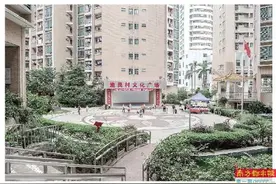 寻找都市褶皱里的深圳底色图片