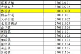 泰安市最新行政区划代码表公布图片