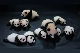 被游客称为“小泰国”的成都有什么好玩的图片