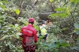 幸好！萧山78岁老人失踪5天，在山沟里被找到图片