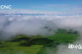 瞰中国|湿地公园竟美成这样视频封面