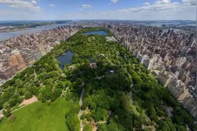 CBD国际生态区，锻造城市价值的“生产力”图片