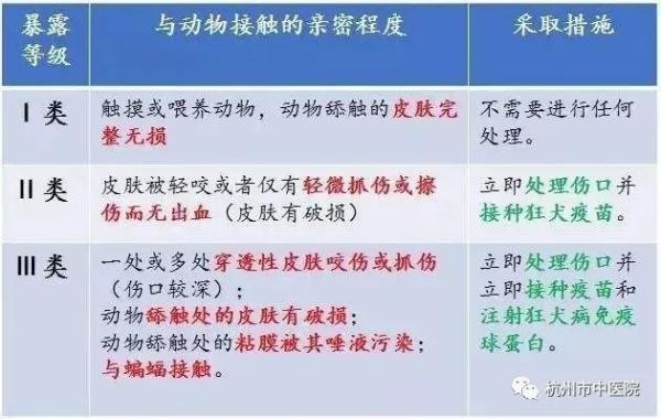 太吓人！40多斤恶犬扑了过来，男子“命根子”……