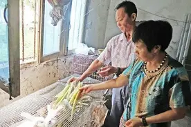 相濡以沫36载 患难伉俪真情相伴图片