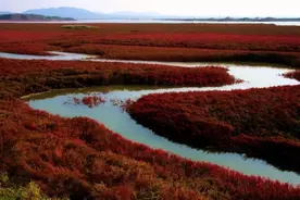 海岛寻梦｜流淌在心中的母亲河图片