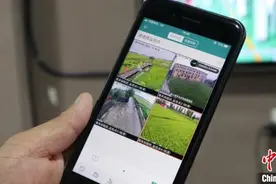 吉林实现“北地南种”：可视化农业受青睐图片