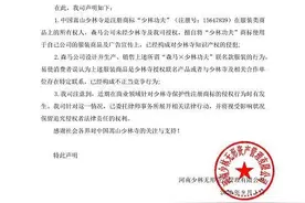 业绩堪忧、库存压身的森马又碰瓷了少林寺？图片