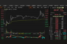 天山生物冲十连板失败，超大单出逃，实控人被指躺赚13亿图片