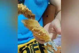 湖南一大学男寝室惊现蜂巢，同学“含泪”分享美味：味道还可以图片